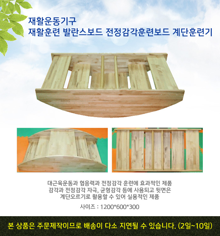 재활운동기구 재활훈련 발란스보드 전정감각훈련보드 계단훈련기