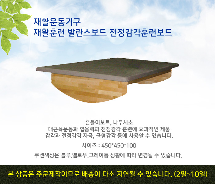 재활운동기구 재활훈련 발란스보드 전정감각훈련보드(450x450x100)