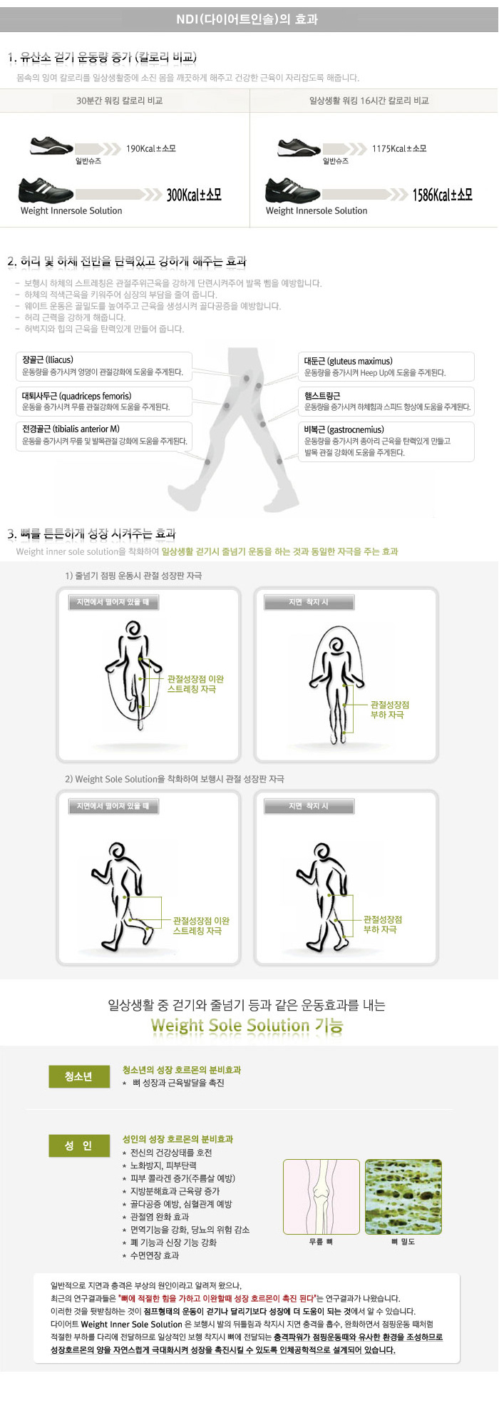 과중원리 인솔 1단계