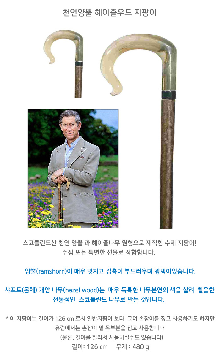 천연양뿔 헤이즐우드 지팡이